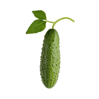 A Cucumber isolate on transparent background png