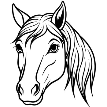 horse head outline illustration, white background vector