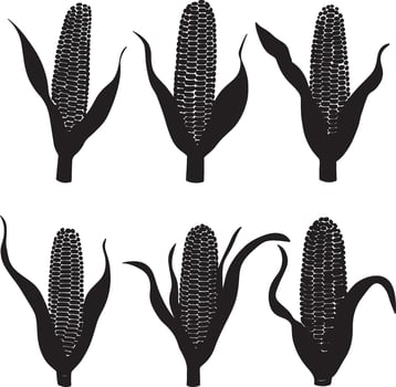 Assorted corn silhouettes illustrated as graphics. vector