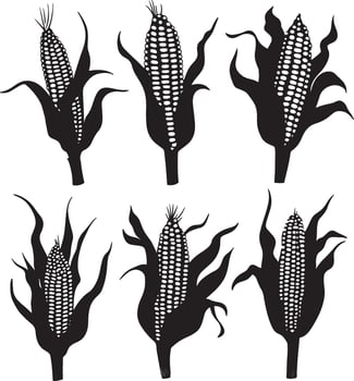 illustration set featuring corn silhouettes. vector