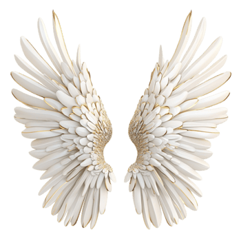 white angel wings with intricate feather details symbolizing purity and divinity png