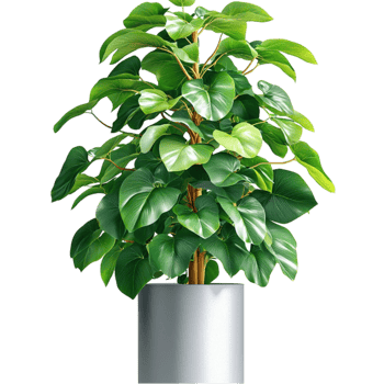 Lush green potted plant with dense leaves growing in a silver container png