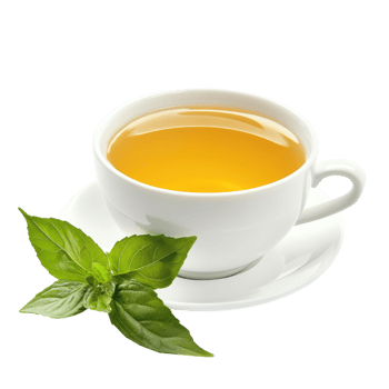 Green Herb Tea Cup White Background on transparent background. png