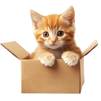 Adorable Ginger Kitten Gift Box on transparent background. png
