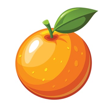 orange fruit illustration, white background vector