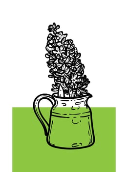 Hand drawn hyacinth with leaves in a jar. Line art spring flower illustration. Doodle of a flower in a green poster design. Ready to be used in print and online projects. vector