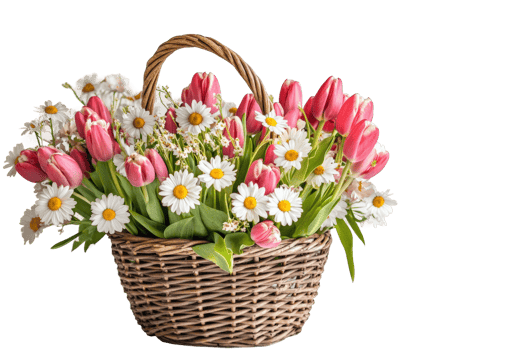 Beautiful spring bouquet of pink tulips and white daisies in a wicker basket png