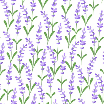 Seamless spring pattern with lavender flowers on white background vector