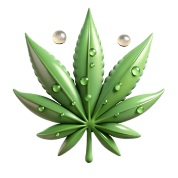 impressive traditional Cannabis Leaf Dewdrops Hydration professional png