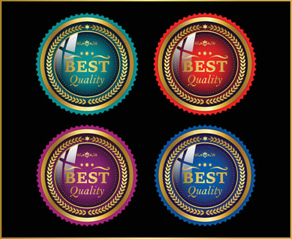 Luxury premium badges and labels collection vector