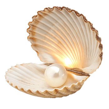 Seashell with pearl isolated on transparent background, elegant natural beauty, perfect for design, jewelry inspiration, minimalist style png