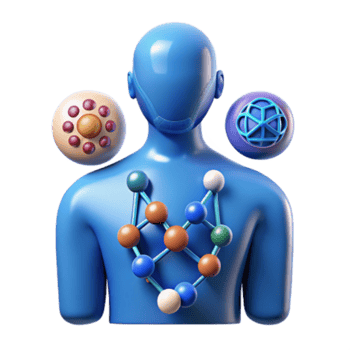 beautiful classic Human Molecular Structure Cellular Interactions Network high resolution png