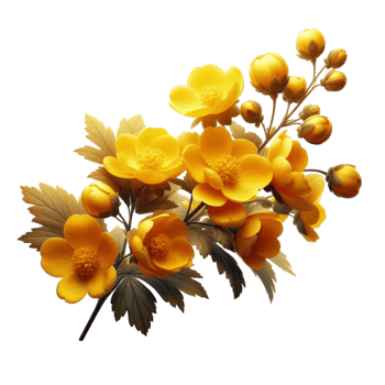 Golden Blossom Branch png
