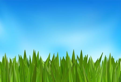 Grass bush land, sky header background. Green field 3d texture, blue cloud sunrise spring . Summer meadow landscape, football lawn, nature park tuft garden. Fresh plant, turf hill border layout vector