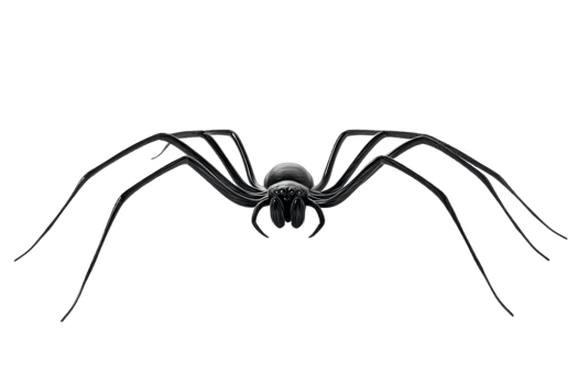 Realistic black spider with detailed features png