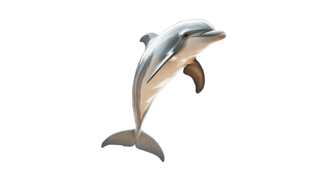 Dolphin performing a leap in the ocean air png