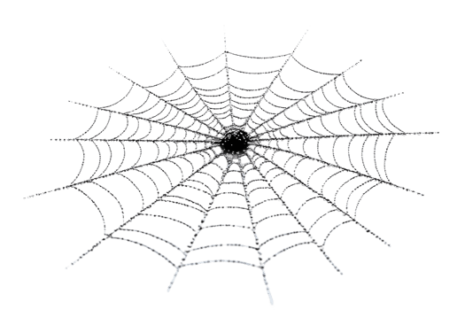Detailed spider web glistening with dew droplets png
