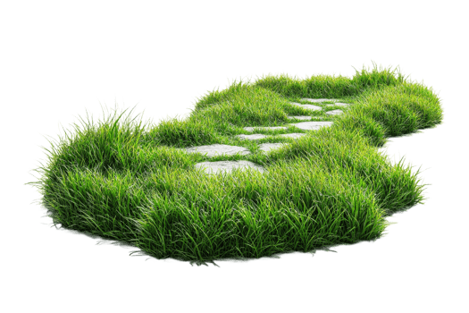 Garden path of grass and stone slabs png