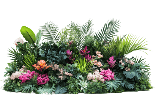 Vibrant floral botanical arrangement png
