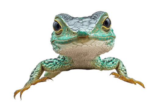 Detailed close up of a vibrant green lizard png