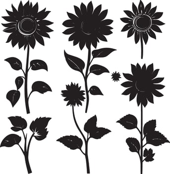 black and white sunflower silhouettes set vector