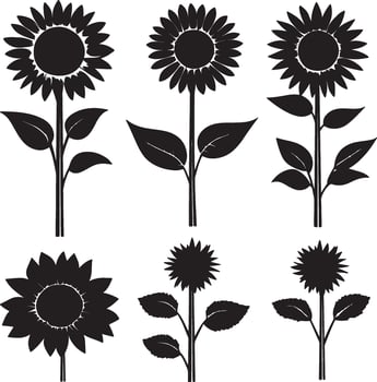 sunflower silhouettes set of six silhouettes vector