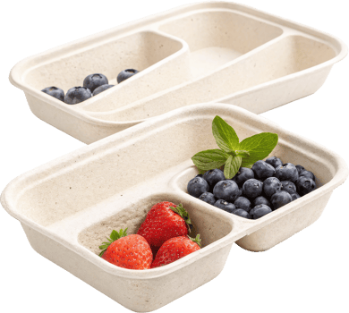 Fresh Organic Berries in Eco Friendly Plastic Food Tray for Retail Display png