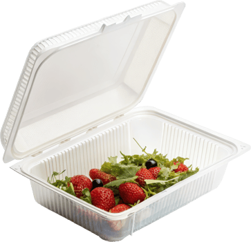 Empty Snap Lock Plastic Tray or Box for Food Storage and Retail Display png