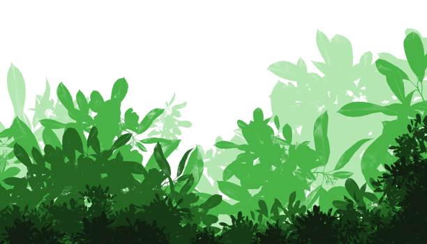 green trees and bushes on a transparent background png