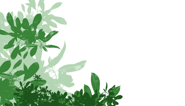 green plants on transparent background png