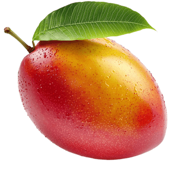ripe mango with a gradient of yellow orange and red hues covered in tiny water droplets png