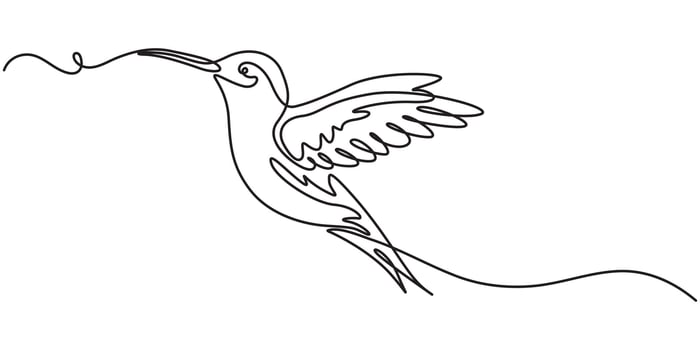 Humming bird, continuous one line drawing animal, continuous one line art illustration, printing, modern line art, minimalistic, minimalism line art drawing, printable in cards decor,logo concept. vector