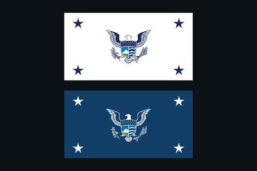 Office of the Secretary of Homeland Security USA Flags Bundle Illustration Premium Quality vector