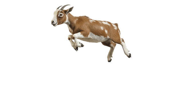 Cute goat jumping in a playful manner outdoors png