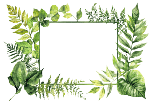 Botanical frame with leaf designs png