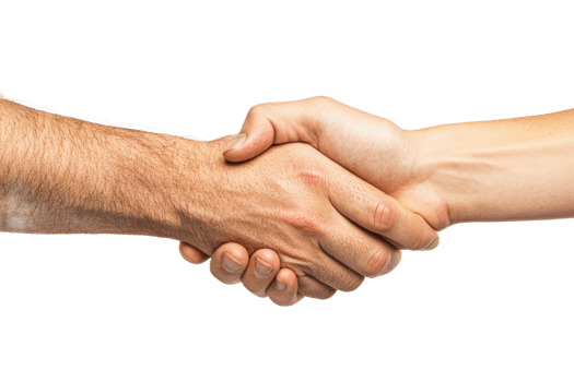 Two hands shake in a gesture of agreement png