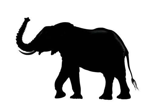 Elephant strolls gracefully on the plain png