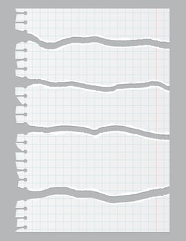Torn Realistic notebook squared paper sheet. Illustration of torn blank page with uneven texture edges. Damaged letter, document mockup. vector