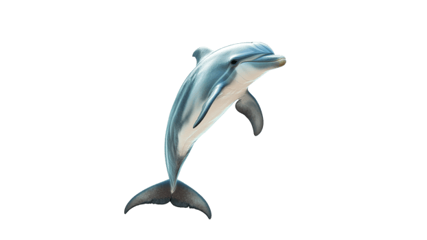 Dolphin jumping in clear ocean water environment png