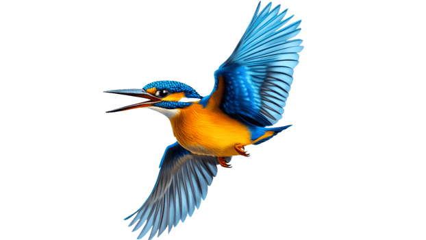 Colorful kingfisher bird in mid flight above water png