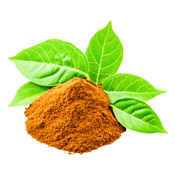 Fresh Green Leaves and Pile of Fine Ground Natural Herbal Powder png