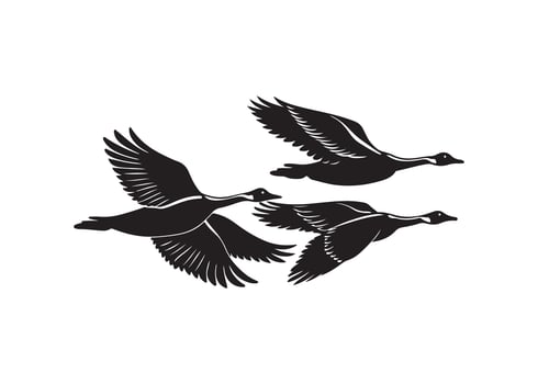 Heron just above the ground vector