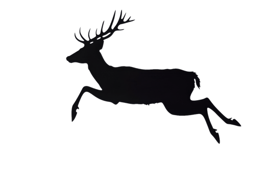Majestic deer leaps gracefully in the wild png