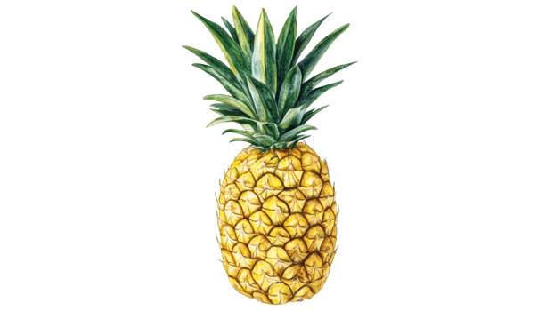 Bright and fresh pineapple on white background png
