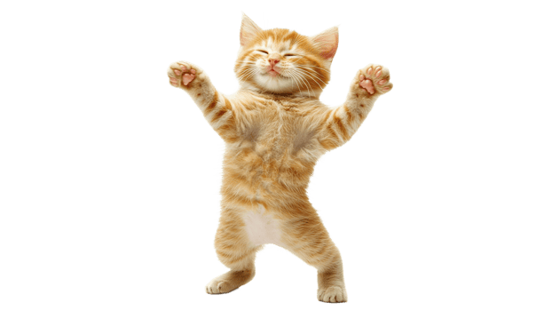 Joyful orange kitten stretching indoors png