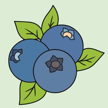 Hand-drawn blueberry fruit with a natural and realistic look, suitable for organic product packaging, posters, and menus. vector