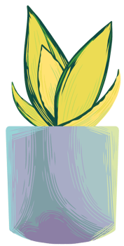 Snake plant Sansevieria Gold hahnii png