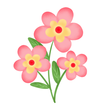 colorful pink flower png