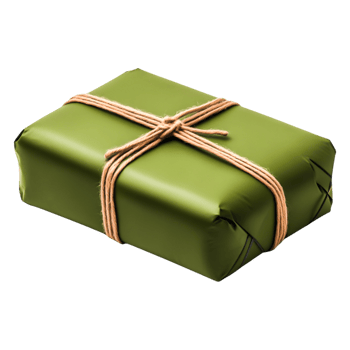 Green Wrapped Gift Box with Natural Twine and Simple Elegance png