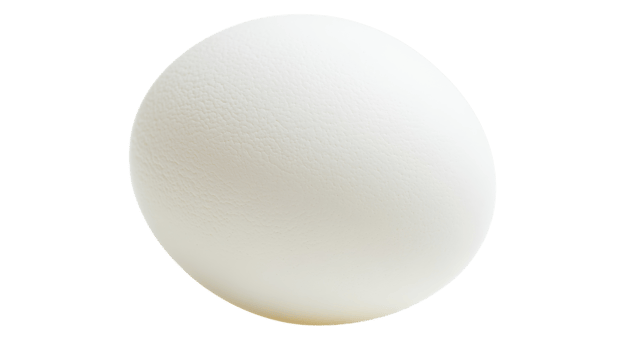 White egg resting on a smooth surface with even lighting and a plain background png